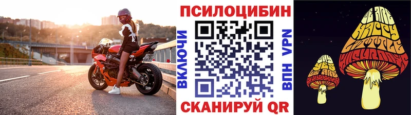 Псилоцибиновые грибы ЛСД  Купить где  Райчихинск 